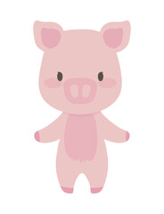 Naklejka na ściany i meble pig cute animal