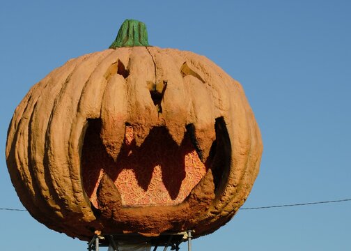 Jack O Lantern Pumpkin