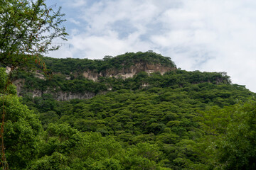 Fototapeta na wymiar trees framing mountains, huentitan canyon in guadalajara, mountains and trees, green vegetation and sky with clouds, mexico
