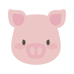 pig face cute animal