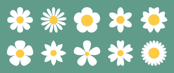 Daisy chamomile flower petals set