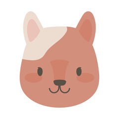 cow face cute animal