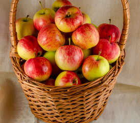 Ripe yellow-red apples.