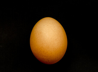 A brown egg on a black background.