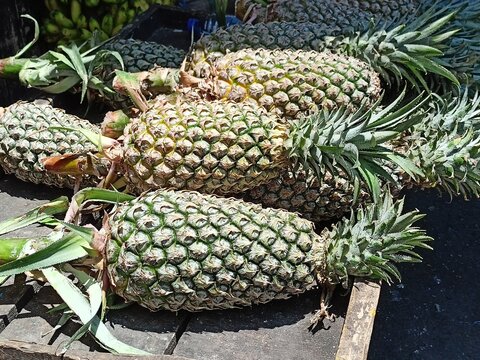 piles of pineapples peddled in the market