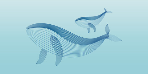 Vector illustration Humpback Whale parent and child by line art texture minimal style isolated on white background.