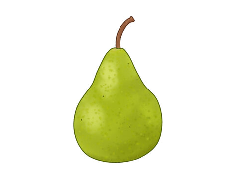 洋梨 秋のジューシーな甘い果物 pear