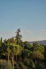 Park in the rays of the setting sun, vertical frame, the idea of park design. Italian style park