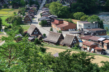 Fototapeta premium 岐阜県の白川郷の古民家と稲作