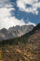 Fototapeta premium Landscape above Ala Archa Pass, Kyrgyzstan.