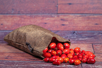 Reife Hagebutten im Jutebeutel