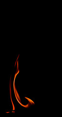 Fire flame isolated on black background. Space for copy