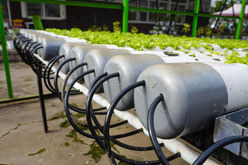 The nutrient water channel enters the hydroponic pipe using a connecting hose. Hydroponic...