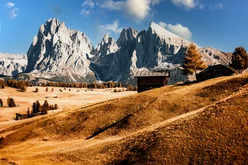 Seiser Alm - Seiser Alm - Langkofel Berggruppe. Landschaft des alpinen roten Herbstes Seiser Alm. wandernde naturlandschaft in den dolomiten. Holzchalets in den Dolomiten, Trentino Alto Adige © Zedspider