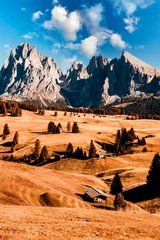Seiser Alm - Seiser Alm - Langkofel Berggruppe. Landschaft des alpinen roten Herbstes Seiser Alm. wandernde naturlandschaft in den dolomiten. Holzchalets in den Dolomiten, Trentino Alto Adige © Zedspider