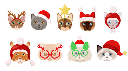 A set of Christmas cats on a white background. Animal heads. Cartoon design.
