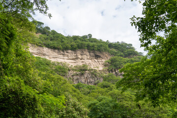Fototapeta na wymiar trees framing mountains, huentitan canyon in guadalajara, mountains and trees, green vegetation and sky with clouds, mexico
