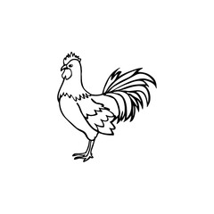 Fototapeta na wymiar Chicken, hen bird, poultry, vector illustration sketch, farm feathered bird animal. Engraving isolated on white background, sketch, hand drawn retro vintage style.