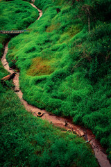 stream of water flowing through with green grass
