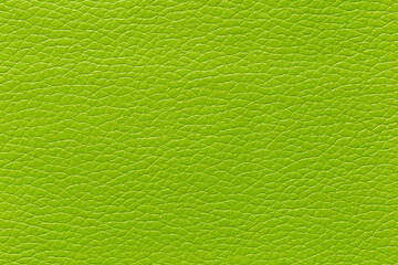 Close-up of a green leather and a textured background.