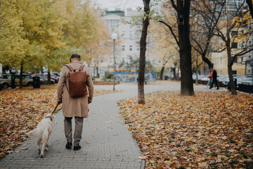Fototapeta premium Rear view of elegant senior man walking his dog outdoors in city park during cold autumn day.