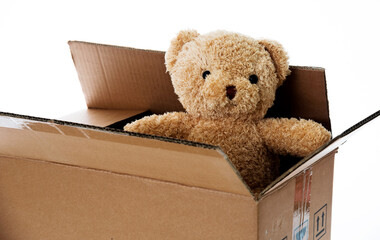Single teddy bear in cardboard box