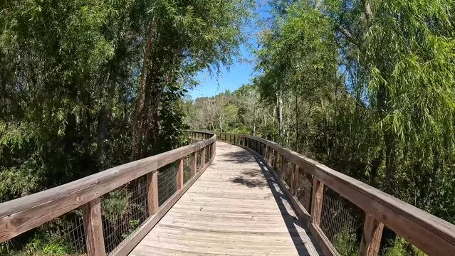 footage of a gorgeous autumn landscape at The Walk at Sandy Run along a brown wooden bridge surrounded by lush green trees and plants with a a gorgeous clear blue sky in Warner Robins Georgia USA