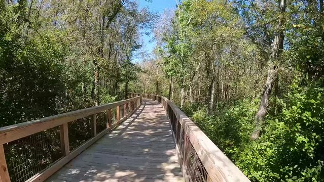 footage of a gorgeous autumn landscape at The Walk at Sandy Run along a brown wooden bridge surrounded by lush green trees and plants with a a gorgeous clear blue sky in Warner Robins Georgia USA