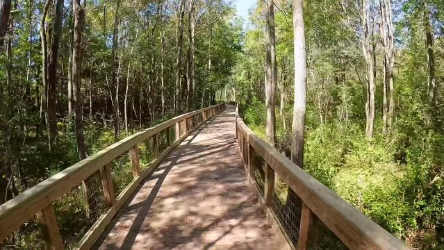 footage of a gorgeous autumn landscape at The Walk at Sandy Run along a brown wooden bridge surrounded by lush green trees and plants with a a gorgeous clear blue sky in Warner Robins Georgia USA