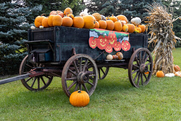 pumpkins on wagon