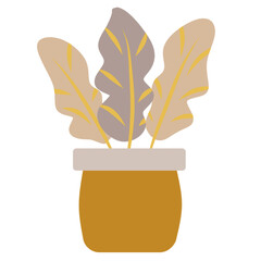 Home plant illustration 