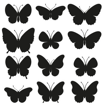 Vector silhouette elegant butterfly isolated on white background. Set of Easy laser cut file for wedding design, birthday card decor and scrapbooking