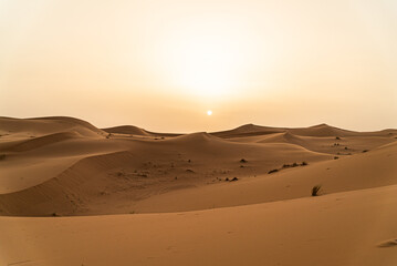 Fototapeta na wymiar サハラ砂漠の夕日