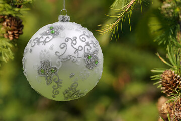 Christmas ball. Christmas tree branches and hanging glitter bauble with place for Christmas greetings.