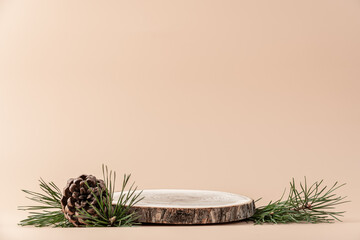 Wooden podium with branches of green spruce and cone on beige background. Concept scene stage...