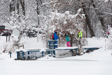 Family looking at snowy tree at winter walk at Holosiivskyi National Nature Park, Kyiv, Ukraine