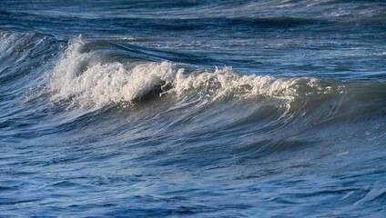 Obraz premium Australien, Urlaub, Pazifik, Sonne, Sand, Beach