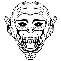 monkey illustration art line
