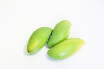 Fresh green awn on white background