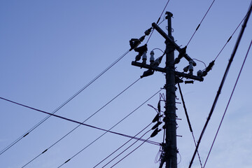 電柱のシルエット