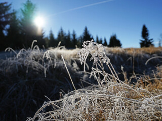 Frozen grass in mountains sunrise view, early winter or autumn time