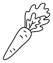 Carrot. Vegetable sketch. Thin simple outline icon. Black contour line doodle hand drawn illustration
