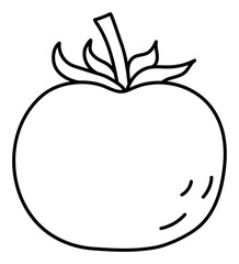 Tomato. Vegetable sketch. Thin simple outline icon. Black contour line doodle hand drawn illustration