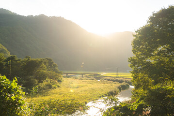 日本の田舎の風景