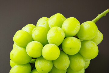 つやつやと光り輝く、本当に美味しそうなブドウ