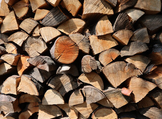  stack of firewood prepared for winter