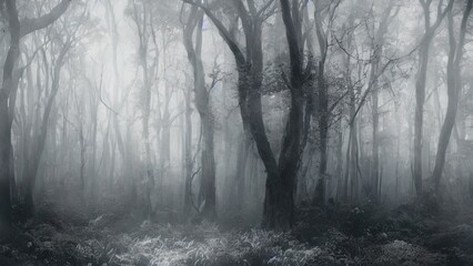 Obraz premium High mystical forest, the road to an unexpected adventure.