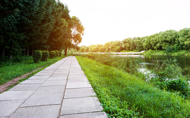 Obraz premium Path through the forest with lake