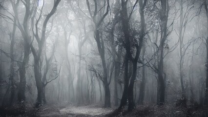 Obraz premium High mystical forest, the road to an unexpected adventure.