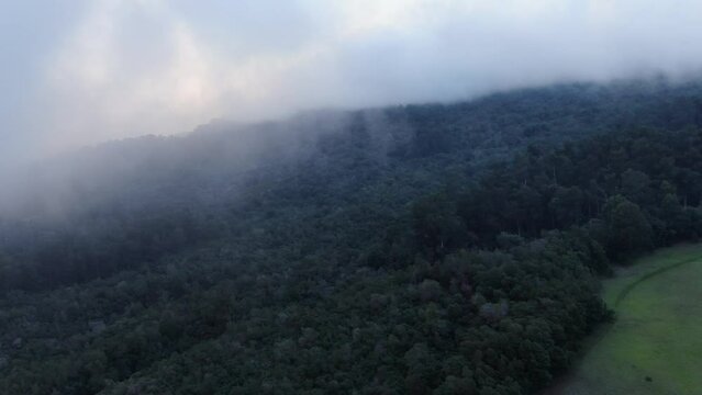 UpCountry Maui, Hawaii. Static shot of the Polipoli Forest line covered in moving clouds.